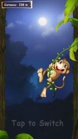 丛林猴子生存