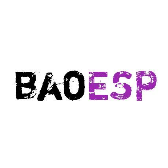 baoesp2.0.8