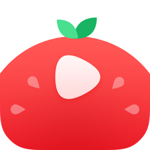 番茄直播v1.0最新版下载