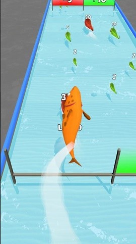 鱼类升级跑3D