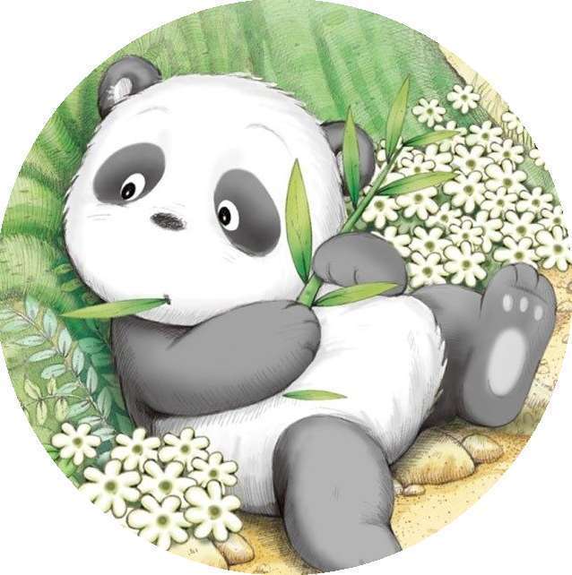 熊猫辅助器app