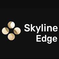 skyline edge模拟器版汉化v14