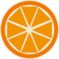 橙子百科