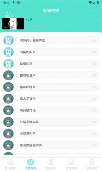 宠猫翻译app安卓版图片1