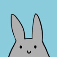 study bunny安卓版
