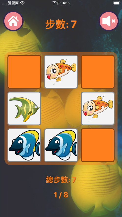 鱼的记忆游戏